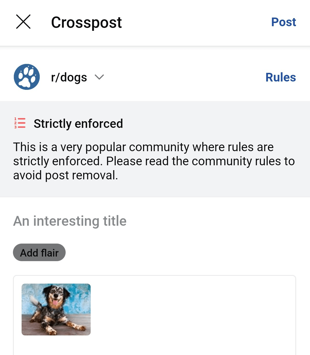 Explanation of how to crosspost on Reddit app. Follow the instructions and Reddit cross posting becomes simple.